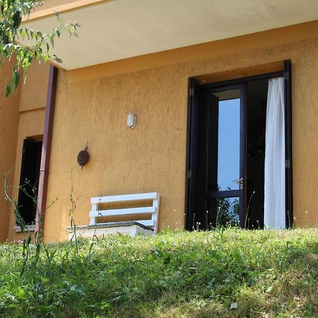 B&B Drusilla Garden Soiano Del Lago Ngoại thất bức ảnh